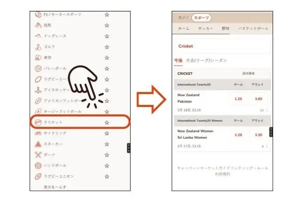 遊雅堂のクリケットの始め方: 試合を選択