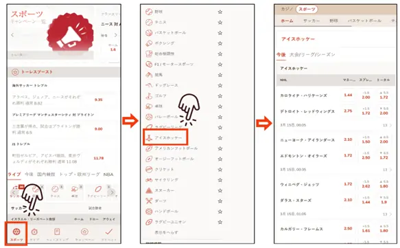 遊雅堂のアイスホッケーの賭け方: 賭けスタート