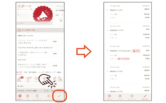 遊雅堂のアイスホッケーの賭け方: 結果の確定
