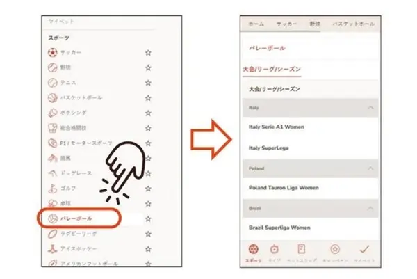 遊雅堂のバレーボールの賭け方: 試合の選択