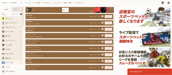 RIZINの基本情報