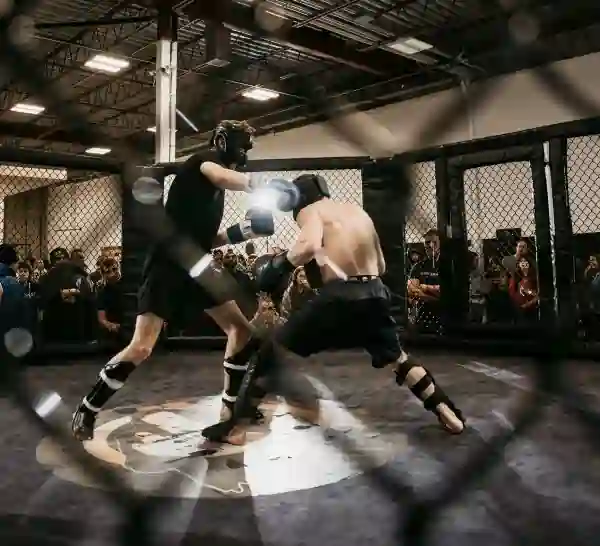 BreakingDownの画像